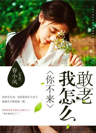 厉司承苏晓月免费阅读 厉司承苏晓月免费阅读