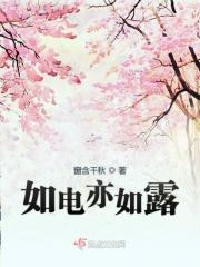 如电亦如露 如电亦如露